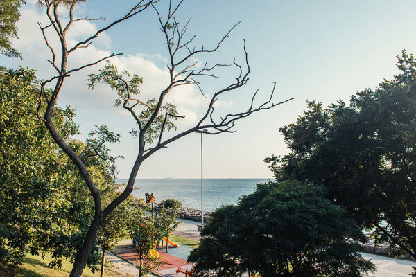 Tress on seafront and sky at background in Istanbul, Turkey 