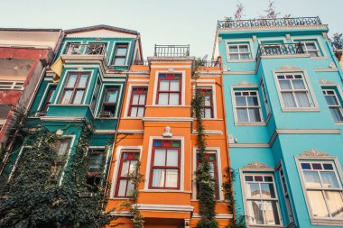 İstanbul, Türkiye 'de Yahudi mahallesindeki çok renkli ve süslü evlere yeşil sarmaşık