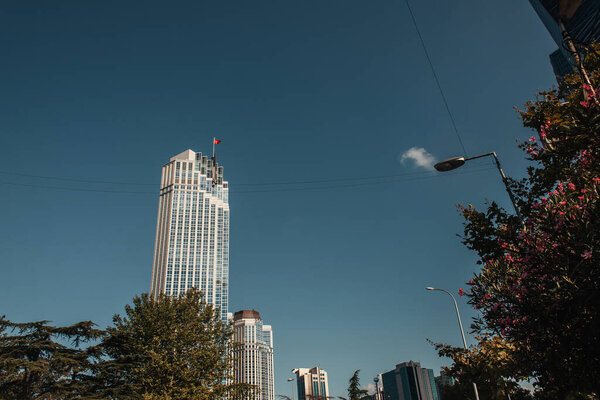 high, modern buildings and green trees against blue sky