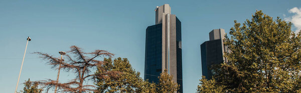 green trees and high, modern buildings against blue sky, banner