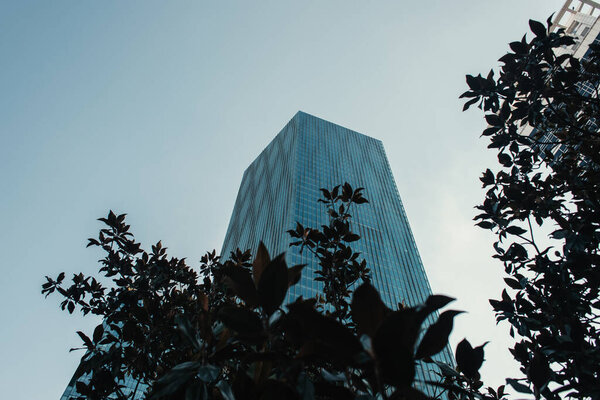 low angle view of skyscraper near trees against clear sky