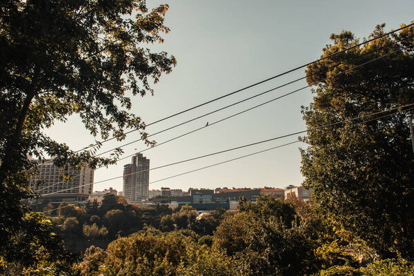 electric wires over green trees, and view of modern buildings, Istanbul, Turkey