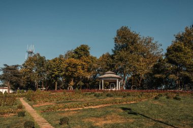 Parktaki yüksek ağaçların gölgesinde çimenler ve kubbeler. 