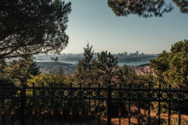 Çit, yeşil ağaçlar ve boğazlı şehir manzarası
