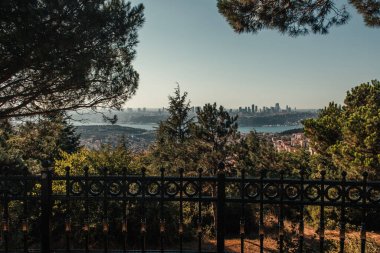 fence, green trees, and city view with Bosphorus strait clipart