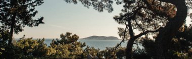 Tepeden tırnağa deniz manzarası, yeşil çam ağaçları, afiş