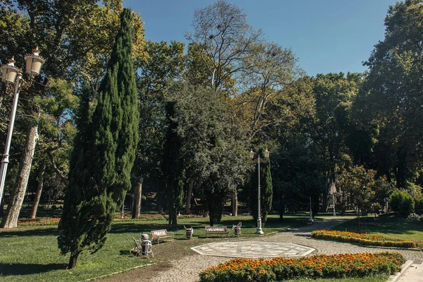 Fiori su aiuola vicino ad alberi e panchine nel parco — Foto stock