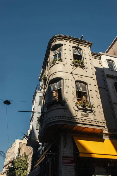 Vue en angle bas des plantes sur la façade du bâtiment sur la rue urbaine à Istanbul, Turquie — Photo de stock