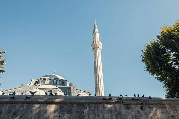 Palomas cerca del exterior de la mezquita Mihrimah Sultan, Estambul, Turquía - foto de stock