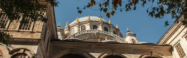 Vista en ángulo bajo de los árboles y el techo de la mezquita Mihrimah Sultan, Estambul, Turquía, pancarta - foto de stock