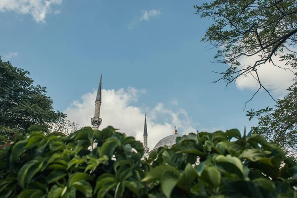 Vista ad angolo basso di colonne, tetto della Moschea del Sultano Mihrimah e piante in primo piano sfocato, Istanbul, Turchia — Foto stock