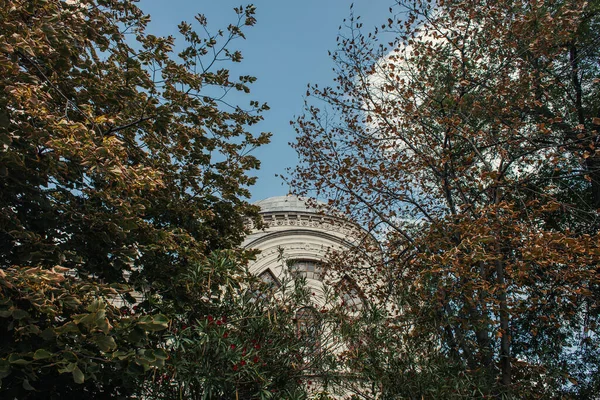 Vue en angle bas de la façade de la mosquée Mihrimah Sultan et des branches d'arbres, Istanbul, Turquie — Photo de stock