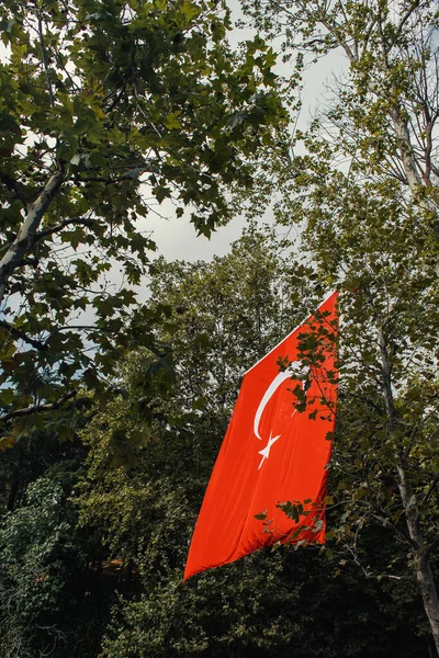 Vista ad angolo basso della bandiera turca vicino agli alberi in strada a Istanbul, Turchia — Foto stock