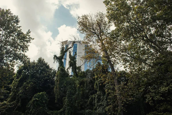 Arbres et plantes avec bâtiment et ciel en arrière-plan sur la rue à Istanbul, Turquie — Photo de stock