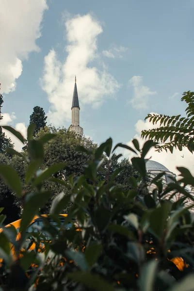 Tetto e colonna della Moschea del Sultano Mihrimah e impianto in primo piano sfocato, Istanbul, Turchia — Foto stock