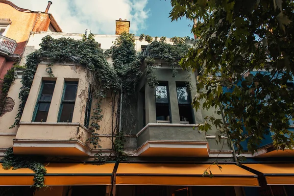 Растения на балконах дома на городской улице в Стамбуле, Турция — стоковое фото