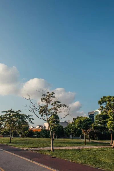 Trees on lawns on urban street in Istanbul, Turkey — Stock Photo