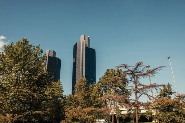 Blue sky over green trees and modern skyscrapers — Stock Photo