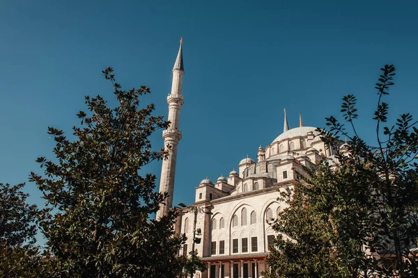 Árboles verdes cerca de la mezquita Mihrimah Sultan contra el cielo despejado, Estambul, Turquía - foto de stock