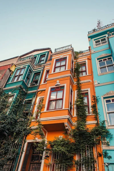 Vista ad angolo basso di edifici multicolori con edera verde a Balat, Istanbul, Turchia — Foto stock