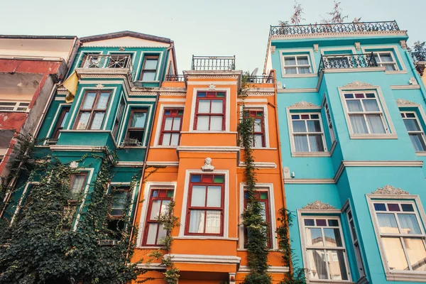 Green ivy on multicolored, decorated houses in Jewish quarter in Istanbul, Turkey — Stock Photo