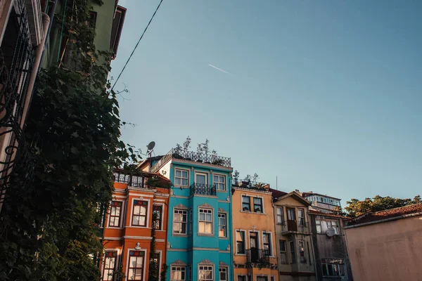 Blue, cloudless sky above colorful houses with green ivy in Balat, Istanbul, Turkey — Stock Photo