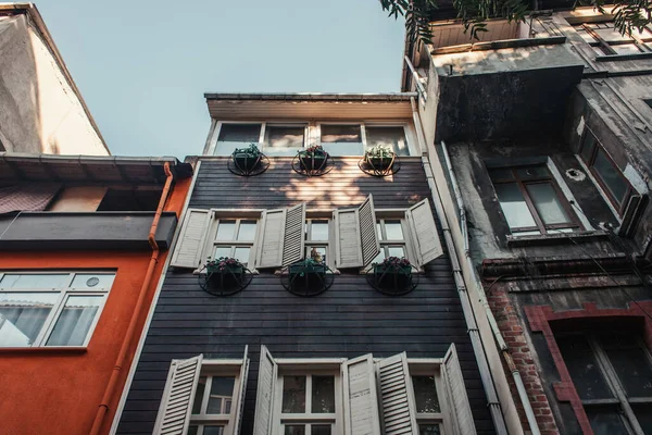 Vue à angle bas de la maison avec des fleurs près des fenêtres dans le quartier Balat, Istanbul, Turquie — Photo de stock