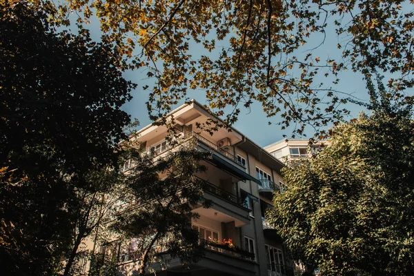 Árvores verdes perto de casa com grandes varandas — Fotografia de Stock