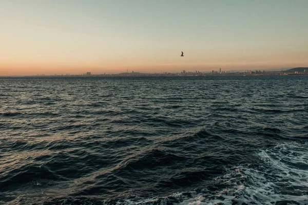 Möwe fliegt bei Sonnenuntergang über welliges Meer — Stockfoto