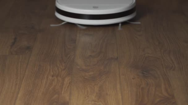 Робот убирает осень, чистит пол. Вакуумная автоматическая чистка роботов дома. — стоковое видео