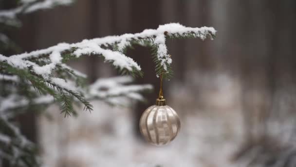 Close up mulher decorar árvore de Natal com bolas. — Vídeo de Stock