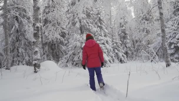 Una mujer camina a través de un bosque de invierno con árboles cubiertos de nieve en una hermosa mañana helada. — Vídeos de Stock