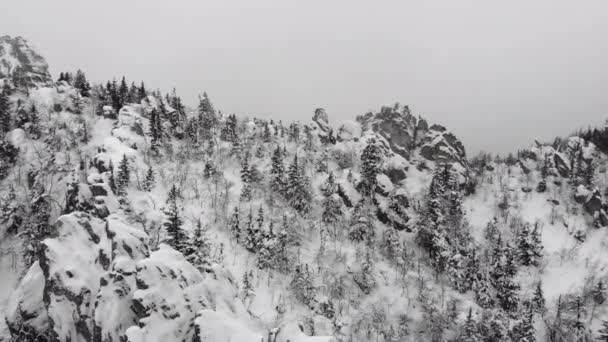 Vista desde la cima hasta el río en un desfiladero de montaña en invierno. Abeto cubierto de nieve — Vídeos de Stock