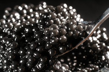 Siyah havyar kaşıkta