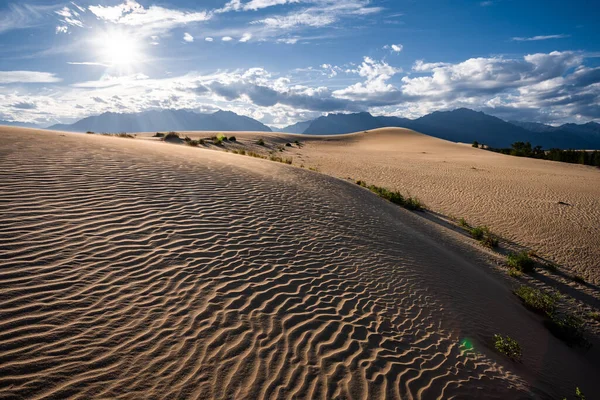 Arenas de Chara con vegetación desértica sobre el telón de fondo de montañas y sol — Foto de Stock