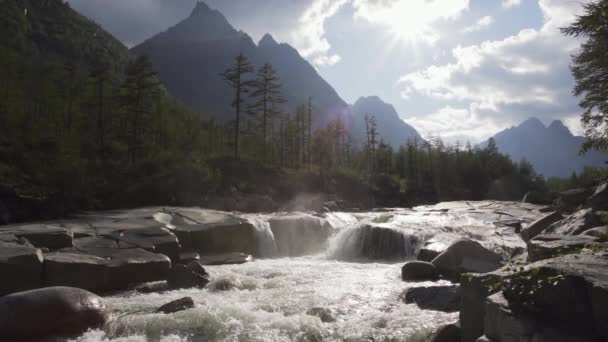 Rio de montanha rápido nos Cárpatos. Cristal água da montanha. — Vídeo de Stock