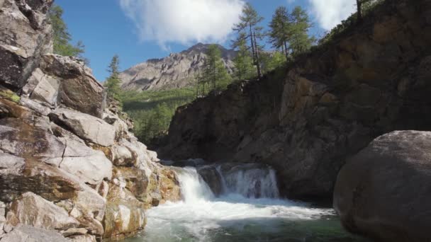 カルパチア山脈の速い山の川。クリスタル山の水. — ストック動画