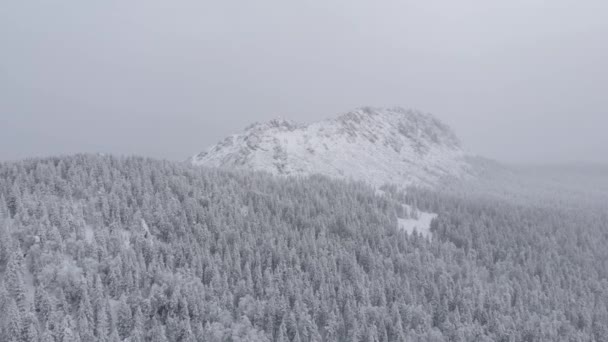 Winterlandschaft in den Bergen. Video von einer Drohne über den Bergen im Winter — Stockvideo