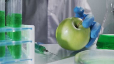 Bilim adamı organik meyve ve sebzeler üzerinde çalışıyor.