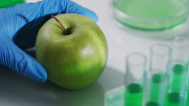 Вчений працює над органічними фруктами та овочами — стокове відео