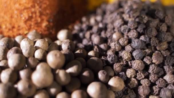 Different spices and aromatic herbs laid out on a white background. — Stock Video