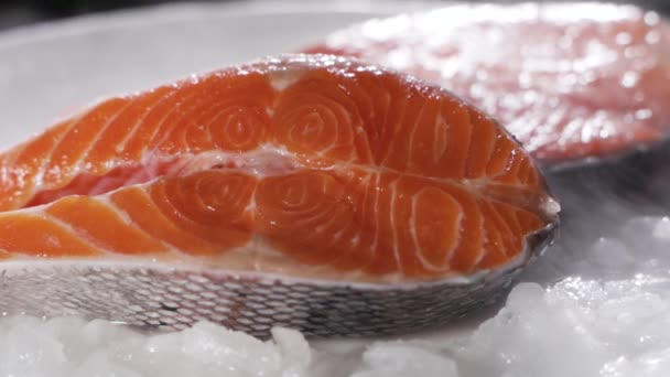 Salmone fresco crudo sul ghiaccio. Pezzi grossi di salmone crudo. Pesce ghiacciato. Salmone sul bancone. Pesce fresco — Video Stock