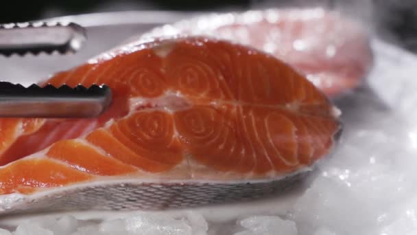 Свежий лосось готов к приготовлению — стоковое видео