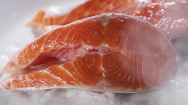 Bistecche di salmone e filetto di salmone. Le bistecche di salmone fresco e il filetto sono disposti su ghiaccio — Video Stock