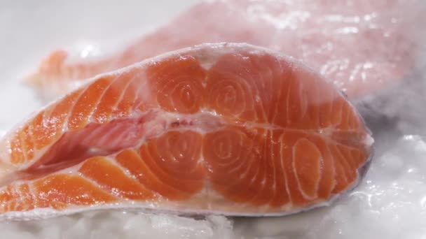 Свежий лосось лежит в холодильнике — стоковое видео