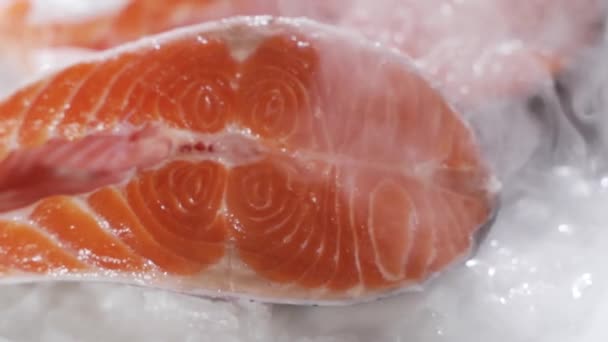 Verse zalm ligt in de koelkast — Stockvideo