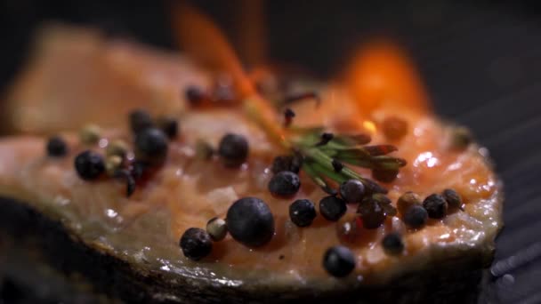 Ochucený losos se smaží na otevřeném ohni. — Stock video