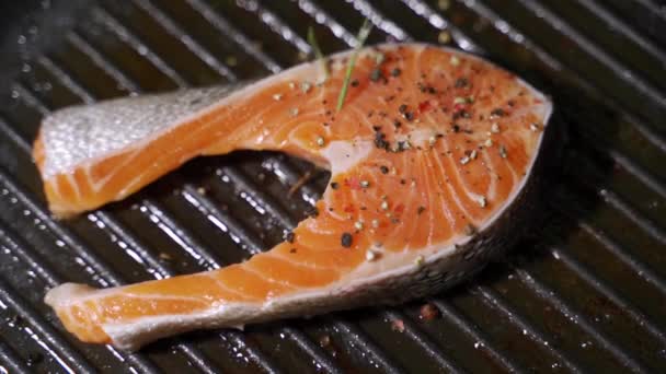 Salmon goreng. Memasak salmon dalam panci. — Stok Video