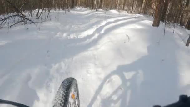 Bicicleta de montaña POV en imágenes de acción de invierno — Vídeo de stock