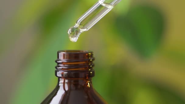Aceite esencial de aroma de menta en botella con hoja de menta verde fresca — Vídeos de Stock